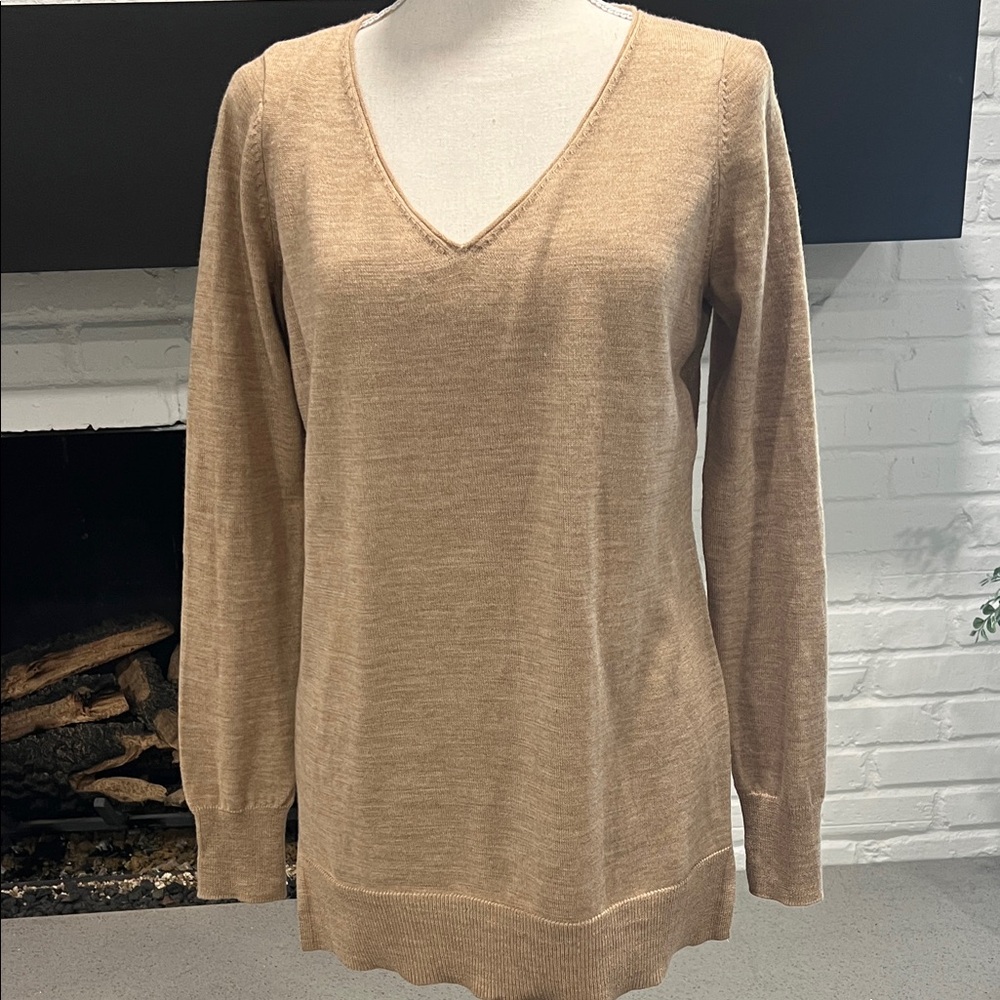 Ann Taylor V-Neck Sweater in Soft Brown